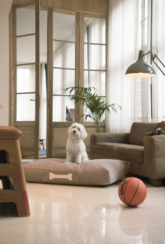 Fatboy_Doggielounge_livingroom