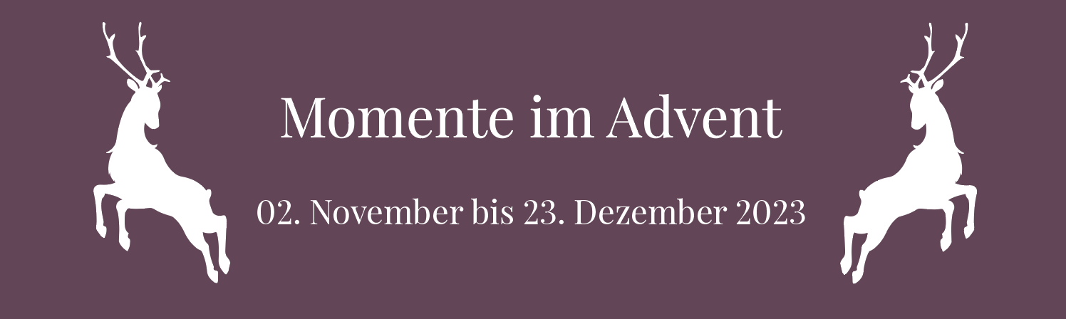 advent-23_banner