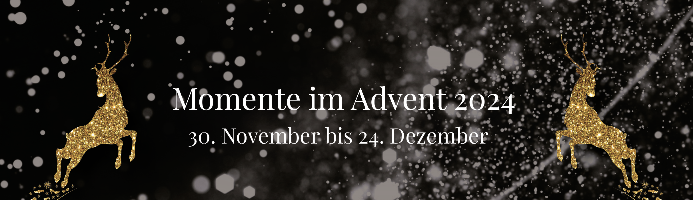 advent24_banner